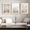Wall Art 60cmx90cm Dried Flower 3 Sets Wood Frame Canvas - Image 2