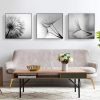Wall Art 50cmx50cm Botanical dandelions 3 Sets Black Frame Canvas - Image 4