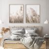 Wall Art 40cmx60cm Pampas Grass 2 Sets Wood Frame Canvas - Image 2