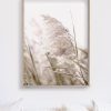 Wall Art 40cmx60cm Pampas Grass 2 Sets Wood Frame Canvas - Image 5