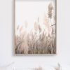 Wall Art 40cmx60cm Pampas Grass 2 Sets Wood Frame Canvas - Image 4