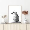 Wall Art 60cmx90cm Kookaburra Black Frame Canvas - Image 2