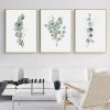 Wall Art 40cmx60cm Eucalyptus Plant 3 Sets Gold Frame Canvas - Image 3