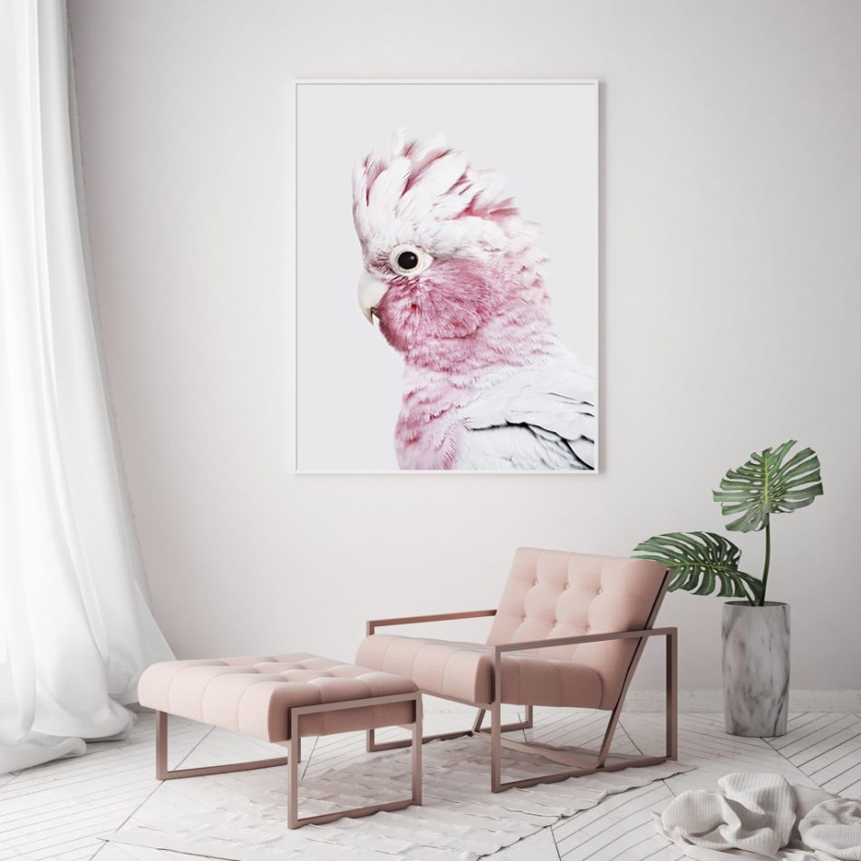Wall Art 70cmx100cm Pink Galah White Frame Canvas - Image 4