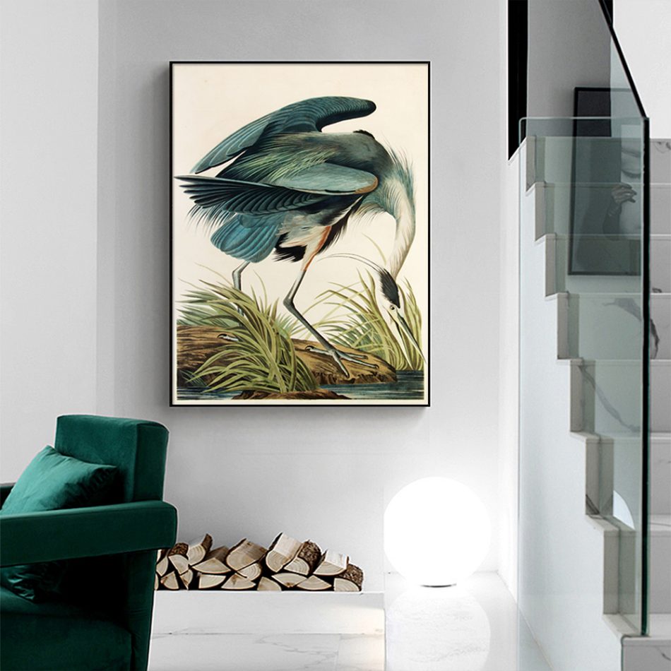 Wall Art 50cmx70cm Great Blue Heron By John James Audubon Black Frame Canvas - Image 2