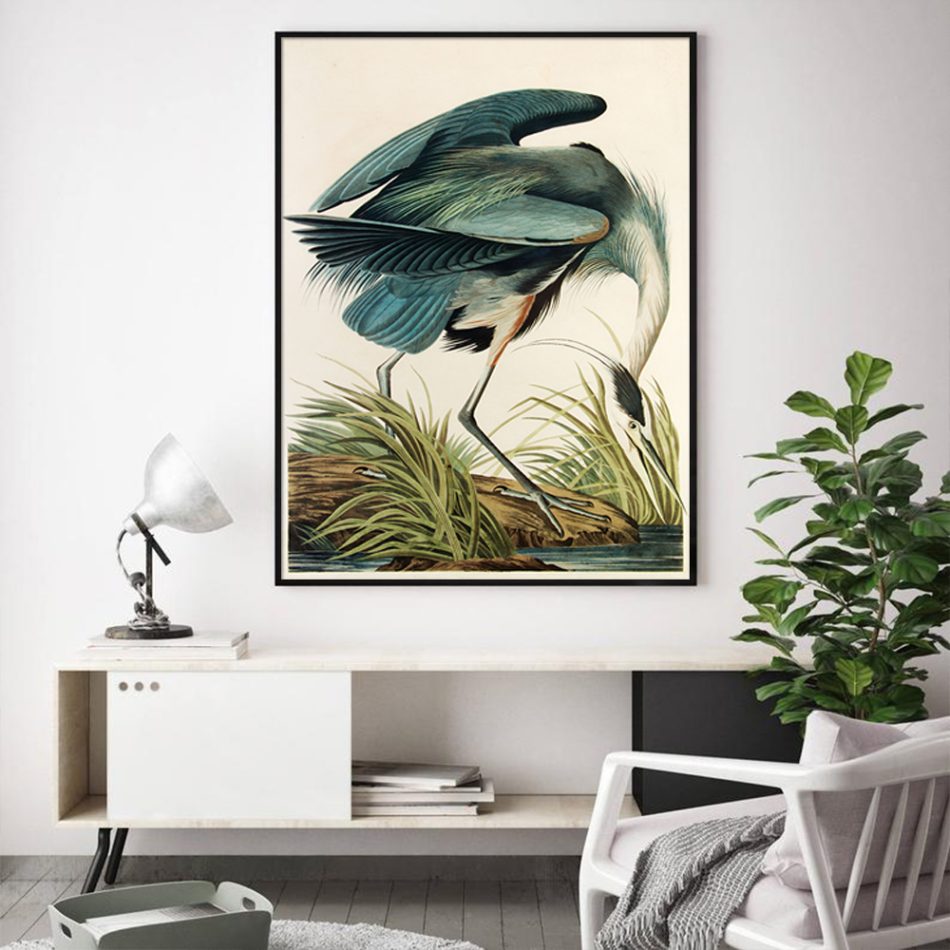 Wall Art 70cmx100cm Great Blue Heron By John James Audubon Black Frame Canvas - Image 3