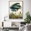 Wall Art 80cmx120cm Great Blue Heron By John James Audubon Black Frame Canvas - Image 3