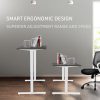 FORTIA Sit Stand Standing Desk, 120x60cm, 72-118cm Height Adjustable, 70kg Load, Black style/White Frame - Image 2