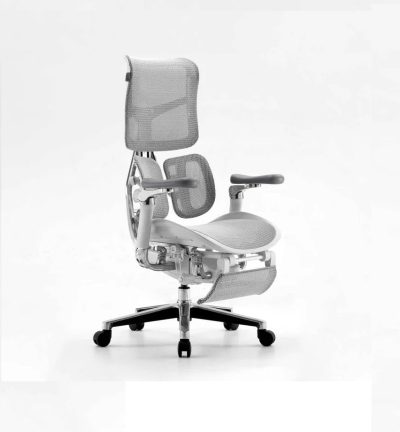SIHOO Doro S300 Executive Ergonomic Office Chair with Footrest Grey
