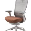 UFOU VX Ergonomic Office Chair Mesh Work Computer Gaming Designer - Lion - Image 2