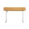 Tate Electric Height Adjustable Desk - Image 6