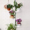 5-Tier Tension Rod Plant Holder Pole, Flower Display Stand Rack Stainless Steel Decorative Shelf, Ivory - Image 3