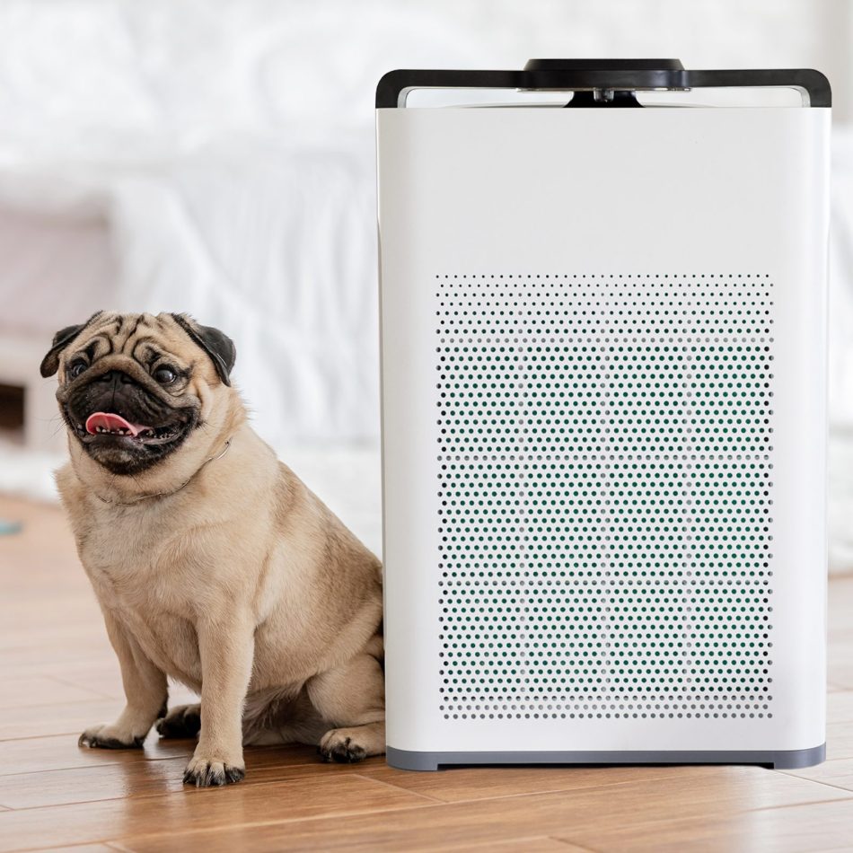 MyGenie Pure Max Air Purifier Carbon Filter 5-In-1 Cleaning System 100 m2 White - Image 4