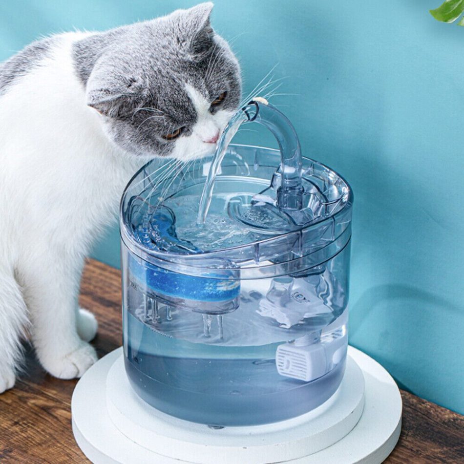 Electric Pet Water Fountain Cat Dog Automatic Sensor Drinking Dispenser Filter - Image 8