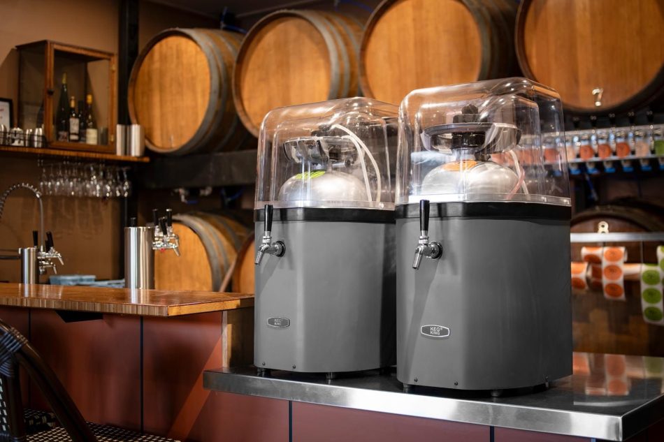 Keg King - KegMaster Solstice Mini 12V/240V - Image 2