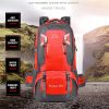 60L Waterproof Outdoor Hiking Backpack Camping Outdoor Trekking Bag(Black) - Image 4