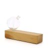 Geometry Oblong Nebuliser - Waterless Diffuser | Essential oil Burner | Aromatherapy| Home Fragrance - Image 2