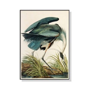 Wall Art 80cmx120cm Great Blue Heron By John James Audubon Black Frame Canvas