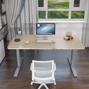 120cm Standing Desk Height Adjustable Sit Grey Stand Motorised Single Motor Frame Birch Top