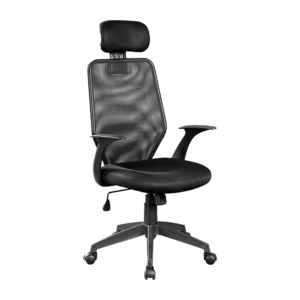 Ergonomic Mesh Office Chair